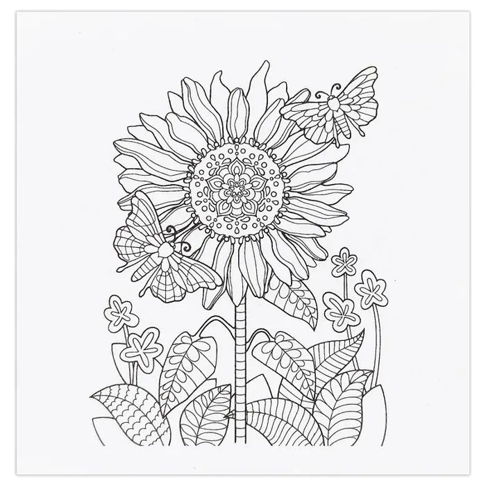 Khung Tranh Canvas Tô Màu Oval 20 x 30 cm - Colormate CASCO20X30 - Hoa  Hướng Dương