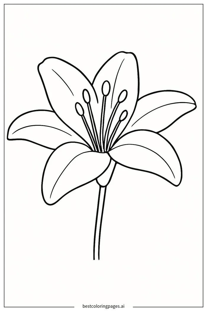 Hoa Ly Đơn Giản Trang tô màu - In miễn phí | BestColoringPages AI