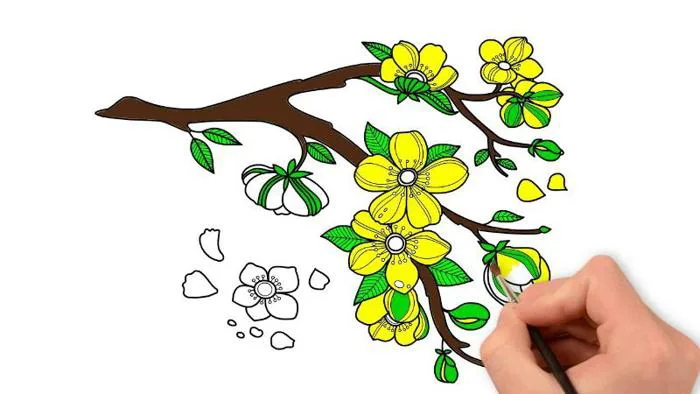 Tranh tô màu hoa mai đẹp ngày tết giúp bé phát triển sáng tạo