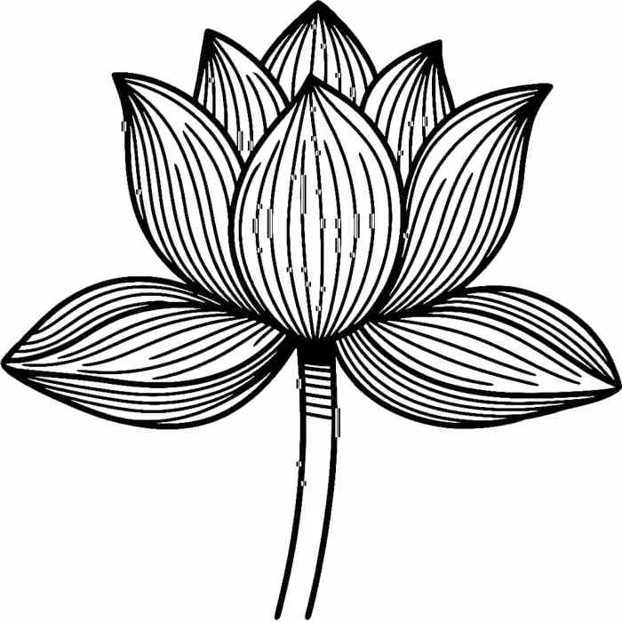 Tô màu Hoa Sen Đơn Giản - Trang Tô Màu Cho Bé