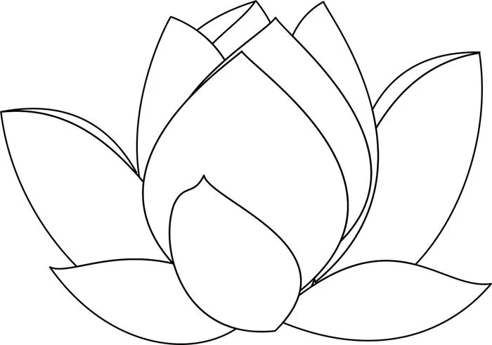 Tranh tô màu hoa sen