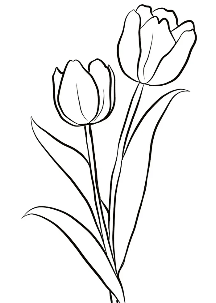 Tô màu 2 cành hoa tulip - Trang Tô Màu Cho Bé