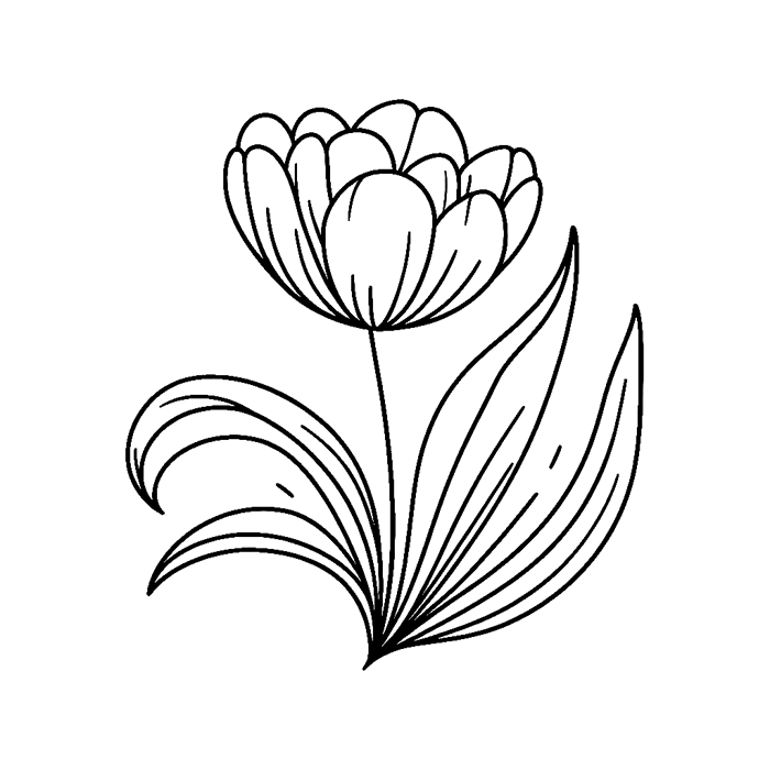 35 bông hoa tulip để tô màu - Tải xuống và in file PDF