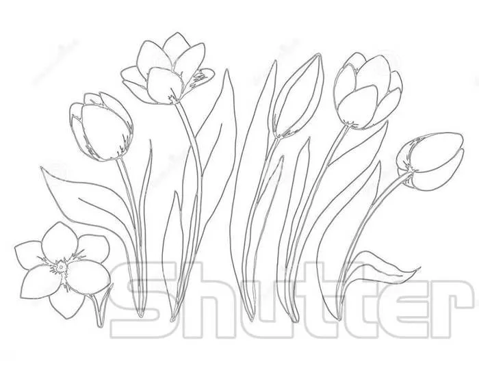 50+ Tranh tô màu hoa tulip xin tươi nhất dễ tải dễ in Update 2026