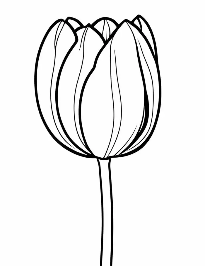 Mẫu tranh tô màu hoa tulip độc đáo cho bé thỏa sức tô vẽ