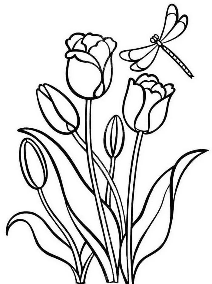 Bộ tranh tô màu hoa Tulip đẹp nhất cho bé
