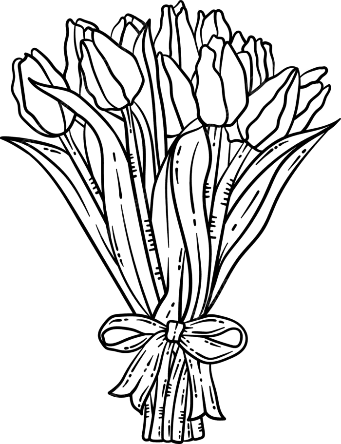Hình ảnh Tranh Tô Màu Hoa Tulip Mùa Xuân Dành Cho Người Lớn Tranh Tô Màu  Hoa Tulip PNG , Vẽ Hoa, Bản Vẽ Hoa Tulip, Vẽ Môi minh họa trên Pngtree,
