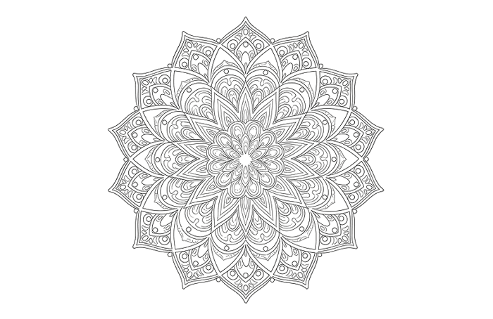 Trang Tô Màu In Miễn Phí Cho Người Lớn | ColoringBook.AI