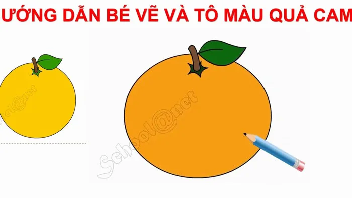 DẠY BÉ VẼ VÀ TÔ MÀU QUẢ CAM||BEAUTIFUL BOWLS AND ORANGE COLOR