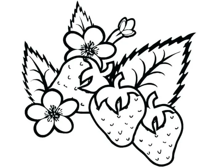 Strawberry Border Coloring Page | Páginas para colorir, Desenhos, Ponto  russo | Cây dâu tây, Quả dâu tây, Màu dầu