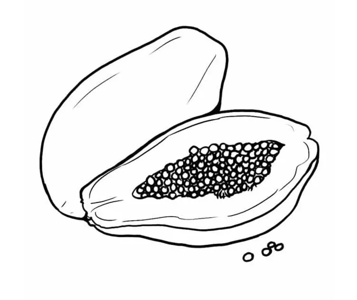 Tô Màu Quả Đu Đủ - Tranh Tô Màu Cho Bé Tô Màu Quả Đu Đủ - Tranh Tô Màu Cho Bé