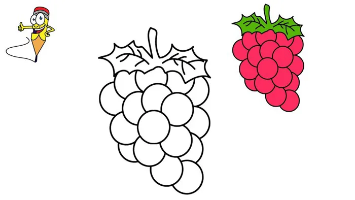 Vẽ Tranh Tô Màu Quả Nho - How to Draw and Color Grapes #161