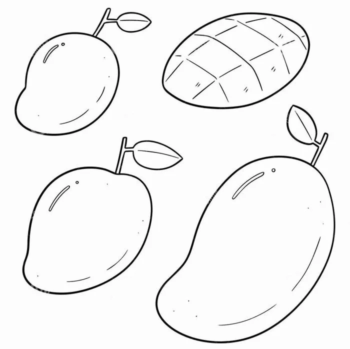 Tranh tô màu quả xoài