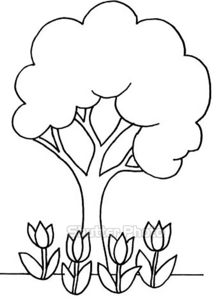 Tranh tô màu cây xanh dẹp nhất | Dibujo de arbol, Sellos digitales,  Actividades de arte