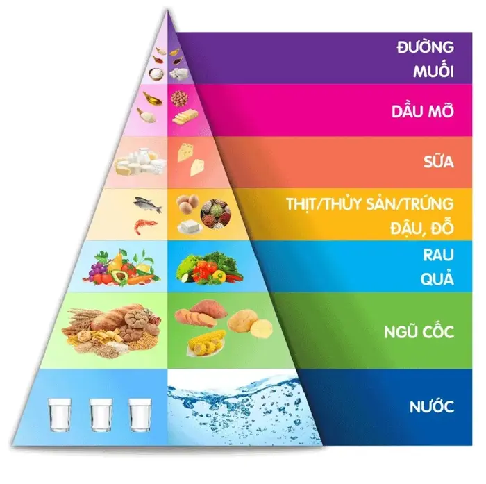 Tải tháp dinh dưỡng vector đầy đủ định dạng AI, PNG, SVG, CDR, EPS miễn phí  - Inviva.vn