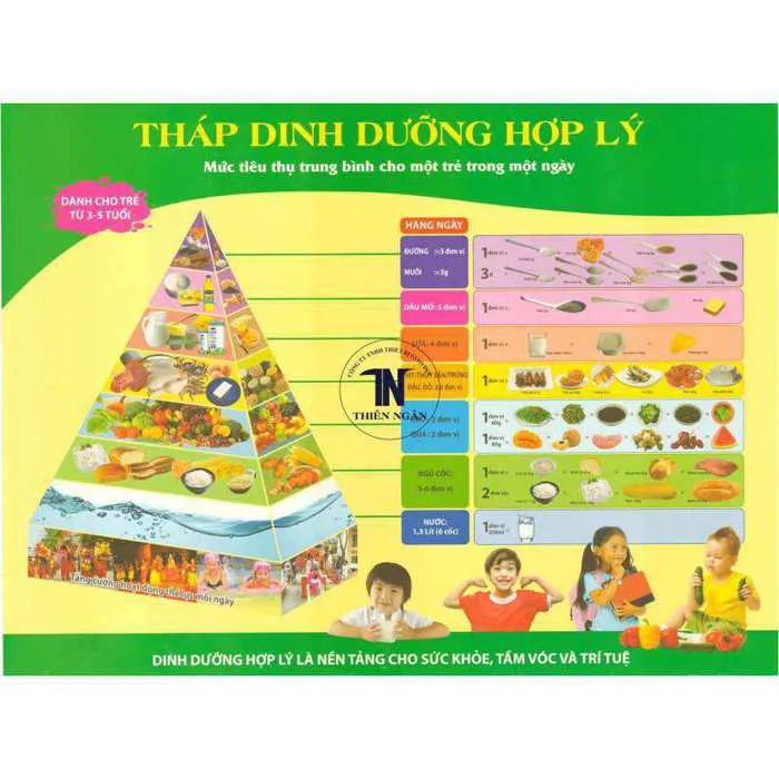 Tranh tháp dinh dưỡng dành cho bé mầm non Tranh Dinh Dưỡng Phù Hợp Cho Trẻ  Từ 1 Tuổi Trở Lên Tranh Giáo Dục Dinh Dưỡng Cho Trẻ Em Việt Nam -